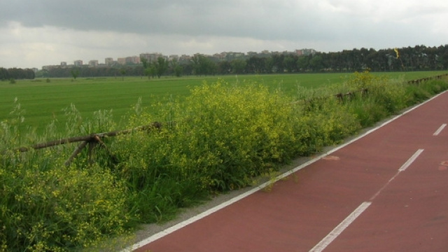 Roma e il problema delle piste ciclabili.
