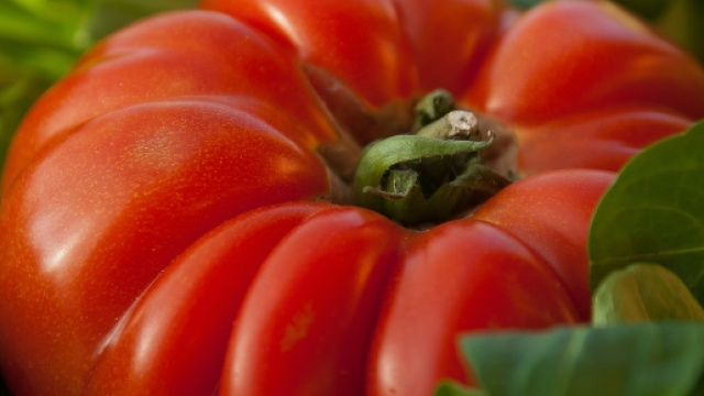 Agricoltura naturale: la nuova frontiera dell'umanit&agrave;