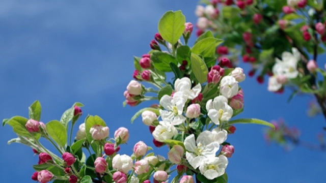 Previsioni del tempo per il ponte del 2 giugno 2016