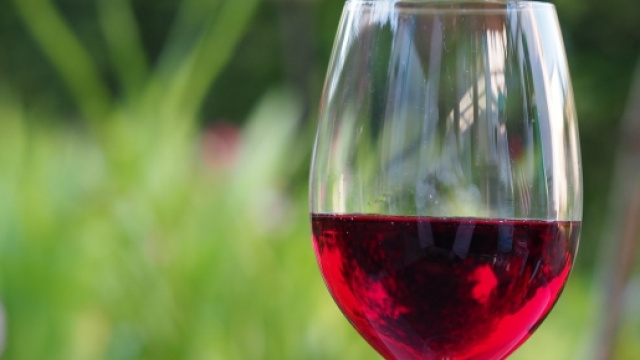 Stati Uniti: due enologi inventano polvere per 'trasformare' acqua in vino.