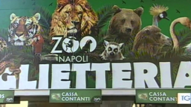Lo Zoo di Napoli diventa a luci rosse grazie a due tartarughe vogliose.