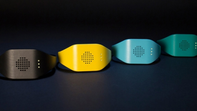 Alcuni esemplari di Catterbox.