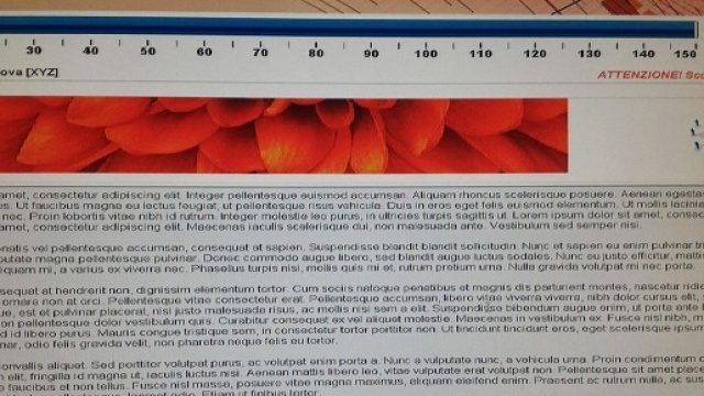 Concorso scuola 2016: anomalie della piattaforma