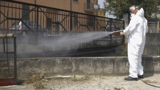 L'avvenuta derattizzazione dalla scuola materna del Tufello, libera finalmente dai topi