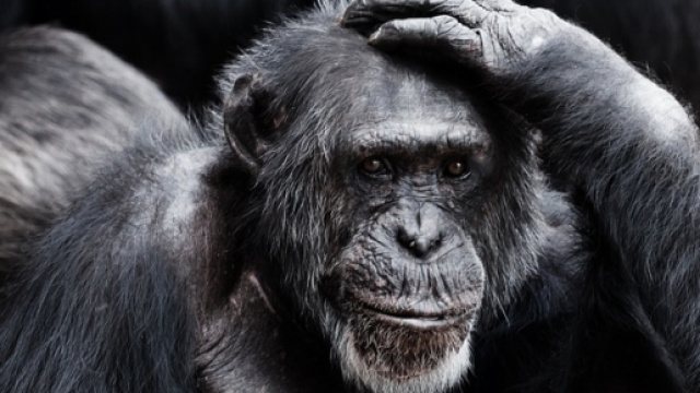 Le casse t&ecirc;te des aides sociales. En prendre, ou en laisser ?