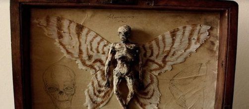 Atualmente as bizarras criaturas pertencem a um indiv&iacute;duo identificado como Alex CF