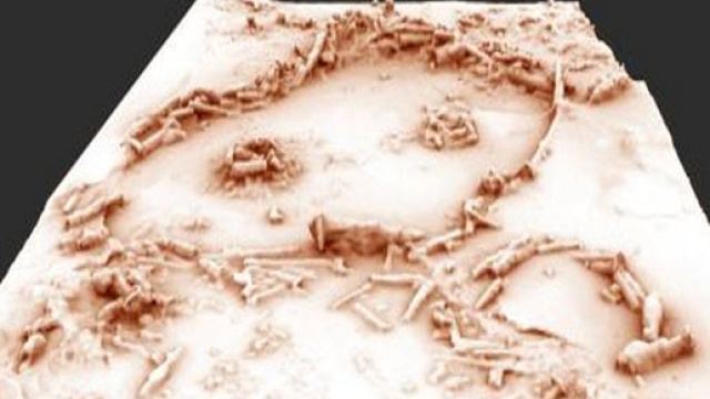 Modello 3d delle misteriose strutture