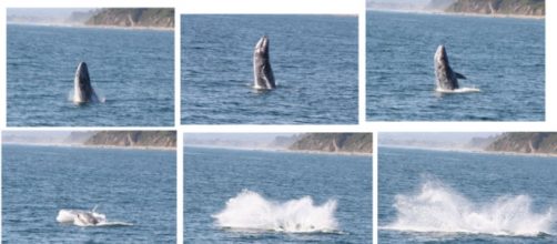 By Chaplin public domain via Wikimedia Commons