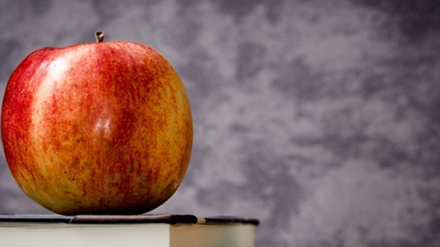 Sciopero scuola 12 e 20 maggio 2016