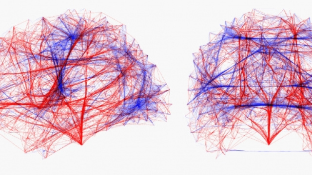 Le connessioni tra i due emisferi (IEEE https://www.computer.org/)