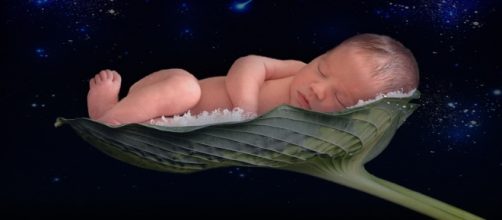 Lo que siente el beb&eacute; reci&eacute;n nacido