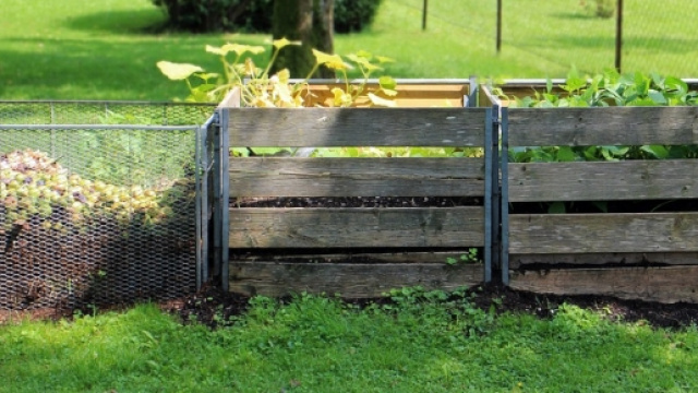 il compost una ricchezza per l'ambiente.