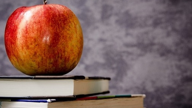 Bonus al merito docenti: i criteri per assegnarlo