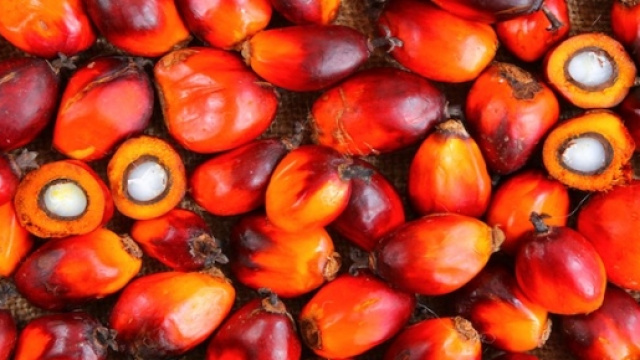 Coop ritira prodotti a base di olio di palma