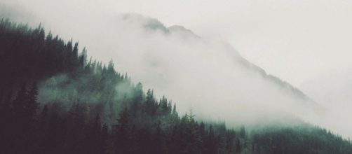 El pesimismo en la filosof&iacute;a de Schopenhauer