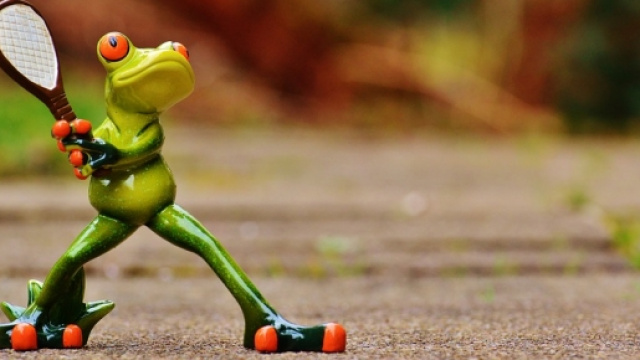 Il faut &ecirc;tre une grenouille pour jouer &agrave; Roland Garros !