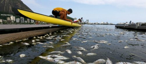Estudios cient&iacute;ficos hallan "s&uacute;per bacterias" resistentes a los medicamentos en zonas ol&iacute;mpicas
