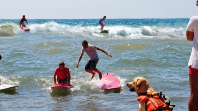 Naspi: possibilit&agrave; di ricalcolo per gli stagionali