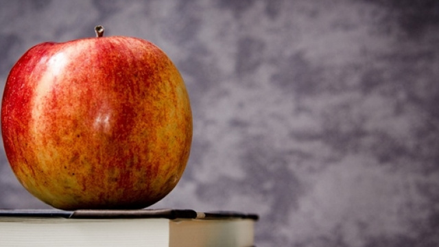 Versione di greco all&rsquo;esame di maturit&agrave;, Aristotele o Platone?