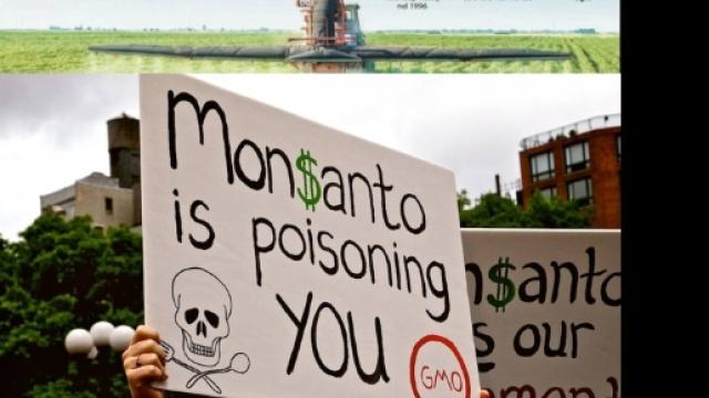 Le proteste contro la Monsanto e lo schema di come agisce il contestassimo glifosato.