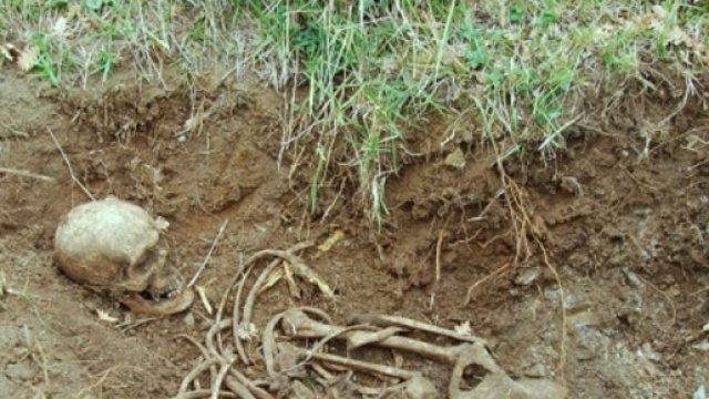 Clamorosa scoperta a Pellezzano: rinvenuti i resti di un soldato ...