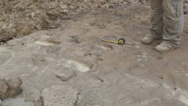 Il sito di Aalad-Amo, Eritrea, dove &egrave; stata scoperta l'impronta. Foto di Uniroma