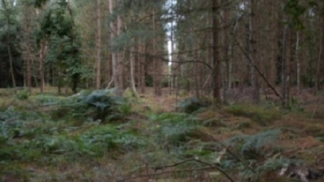 Ufo: a breve saranno svelati nuovi X-Files dal Ministero della Difesa Britannico