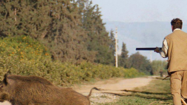 Cacciatore muore mentre osserva i cinghiali.