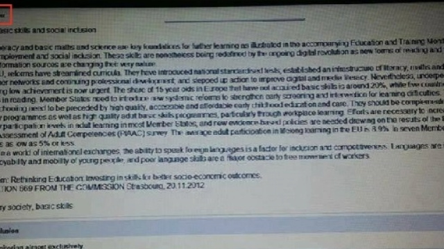 L'immagine del computer collegato in remoto