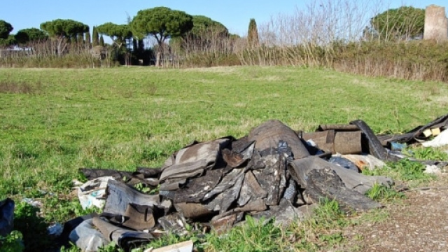 Le zone verdi della Capitale abbandonati all'incuria.