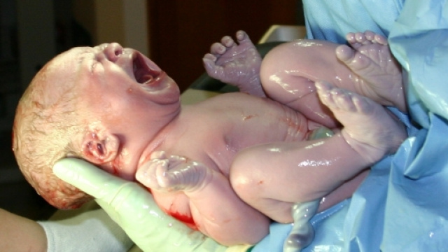 Nessun risarcimento alla mamma a cui &egrave; stata rifiutata la pillola del giorno dopo.