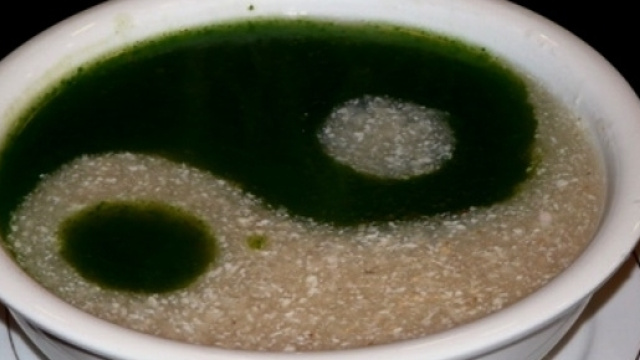 La dieta macrobiotica Ma-Pi2 migliora i markers metabolici nel diabete.