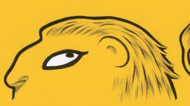 Oroscopo di luglio 2016 per il Leone