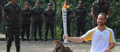Brasil: matan a un jaguar que posó junto a la antorcha olímpica
