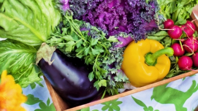 Conferenza Mozzi Gozzano, terza parte