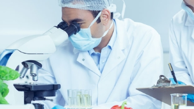 Coldiretti, sicurezza alimentare: bene agroalimentare italiano, preoccupano prodotti importati da paesi extra UE.