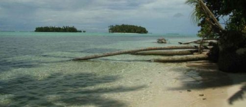 IRIN | The world's first climate change "refugees" - irinnews.org