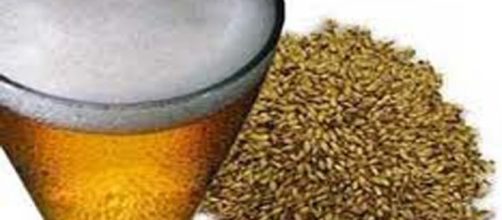 Levadura de Cerveza , contraindicaciones, funciones y Propiedades ... - facilisimo.com
