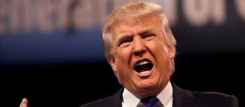 Donald Trump, creative commons via Flickr