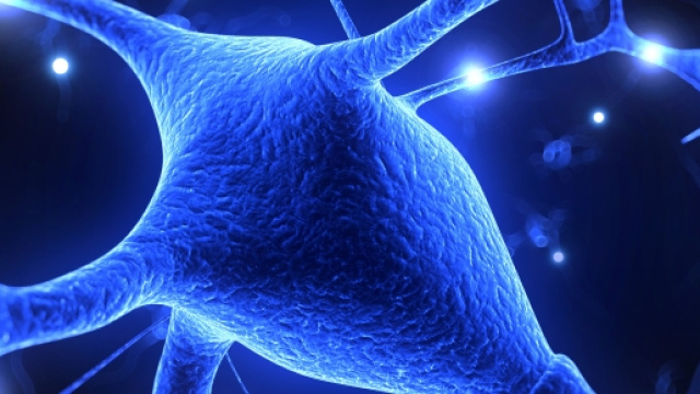 La sclerosi multipla &egrave; causata da una mutazione genetica