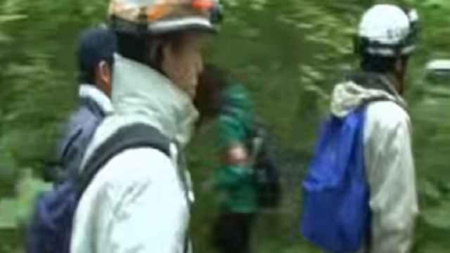 Ritrovato il bambino abbandonato nel bosco