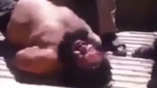 Una foto della cattura di Buldozer, divulgata dall'esercito regolare siriano