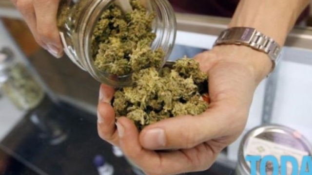 Il 25 Luglio la Camera discuter&agrave; la proposta di legge per la legalizzazione della cannabis in Italia