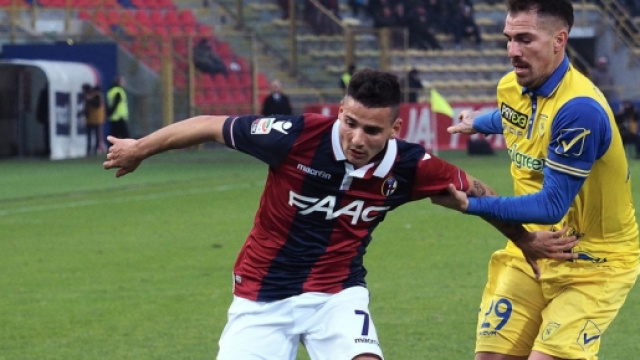 L'attaccante del Bologna, Filippo Falco.