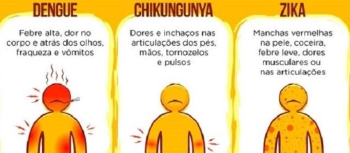 Zika, dengue e chikungunya e suas diferen&ccedil;as