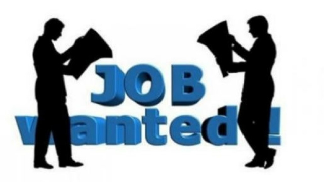 Assunzioni in Italia per MD, LD ed Ikea