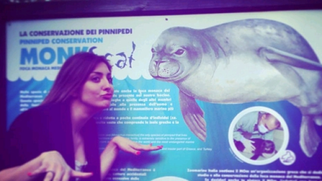 Karin Bonucci prende in giro Eleonora Rocchini?