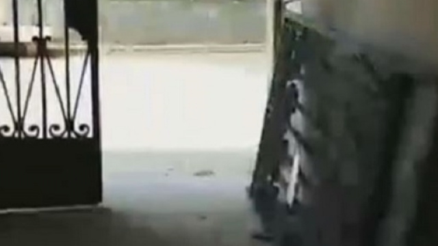 Ultime notizie scuola, gioved&igrave; 9 giugno 2016: il cancello crollato