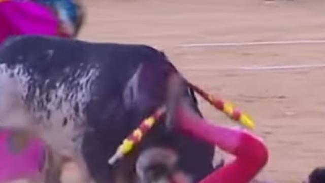 Spagna, muore un torero nei pressi di Valencia: aveva 28 anni