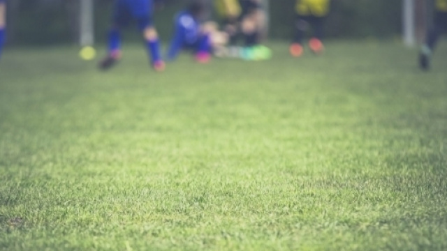 Work in progress in casa viole, in cantiere c'&egrave; la Fiorentina 2016/17